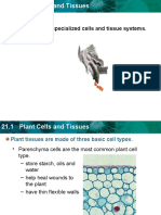 21 Plant Structure and Function - 032212