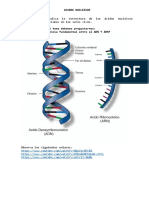 Acidos Nucleicos