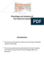 Endocrine