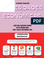 Necesidades Económicas