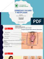 Enfermedad Vulvar y Neoplasia - Urp 24 Junio 2023