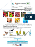 F Trab 1 Mod2 Aliment Saudavel - Cópia