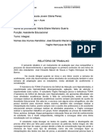 Cópia de Relatório Trabalho Eliane