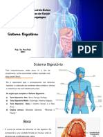 Sistema Digestório 2023.1