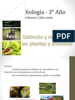 Estímulo y Respuestas en Plantas y Animales