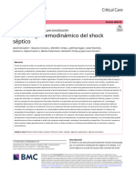 2022 Un Llamado A La Personalización Del Manejo Hemodinámico Del Shock Séptico de Backer Cecconi Monnet JL Vincent - 2.en - Es