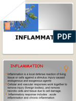 Inflammation - Oral Maxillofacial Pathology - IUP