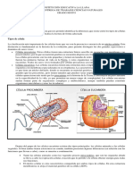 Segunda Entrega de Ciencias Naturales Grado Sexto.