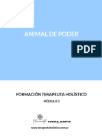 Clase 4 Modulo 3 Animal de Poder