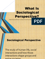 Sociological Perspective