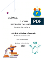 Quimica Subsanacion