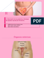 A. Descripción de La Anatomía y Fisiología