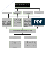 Estructura Organizacional