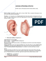 Anatomy Physiology of The Ear