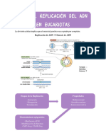 Apuntes Genética Molecular Tema 3 (Def)