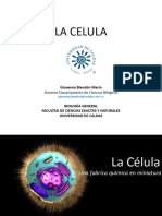 La Celula