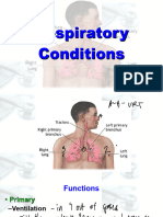 10 Respiratory System 2