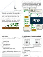 Guia 11 Ciencias 3°a