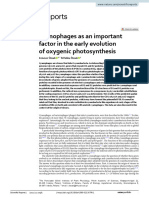 Cyanophages As An Important Factor in The Early Evolution of Oxygenic Photosynthesis