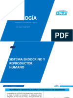 Sistema Endocrino y Reproductor