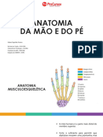 Aula 1 - Anatomia Do Pé e Mão