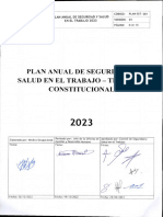 Plan Anual de Salud y Seguridad en El Trabajo 2023