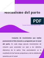 Mecanismo Del Parto