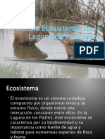 Ecosistema de Laguna de Los Padres