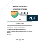 SISTEMA MUSCULAR 17% Finalizado