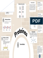 Mapa Mental Bioquímica