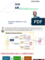 Sistema Nervioso Central Vela