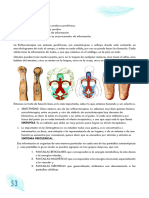 Que Hay de Nuevo en Sintergetica Transcripcion Junio 2018 PARTE 2 de 5