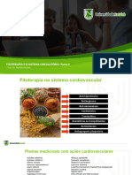 Slides Fitoterapia e o Sistema Circulatorio Parte II Plantas de A C