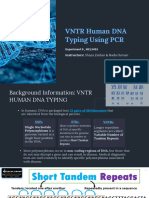 VNTR Human DNA Typing Using PCR