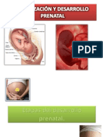 Fertilización y Desarrollo Prenatal