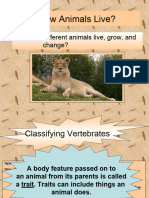 Animal Classificationsvertebratesandinver