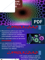 Primera Semana Teoría Enfermería Sistema Inmune Organización y Funciones
