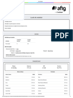 Afig - Relatório Maycon