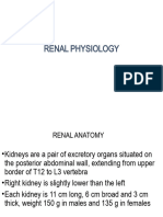 Renal Physiology