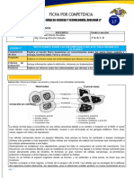 Ficha de Sesión N°17 Iv Unidad Biología 3° RNC 2023