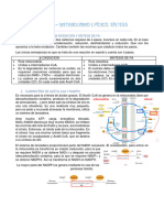 Tema 15 (2 Parte)