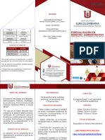 Portal-Especializacion Derecho Administrativo 2024