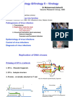 I&V II Virology Lecture 4 of 9