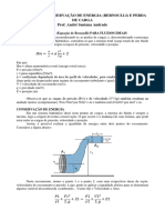 Bernoulli PerdaCarga