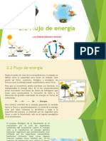 2.2 Flujo de Energía