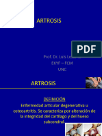 17-Artrosis Clase Fisioterapia 2022.