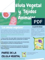 Celula Vegetal y Tejidos Animales