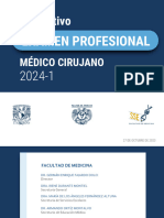 208 Examenprofesional 20241