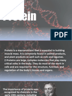 Protein PDF