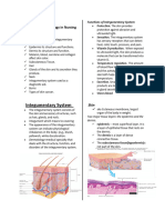 Integuementary System Reviewer